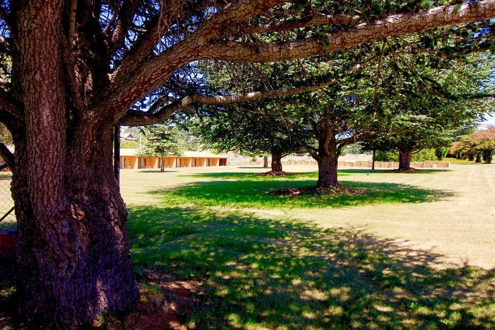 Snowy Mountains Resort And Function Centre Adaminaby Dış mekan fotoğraf