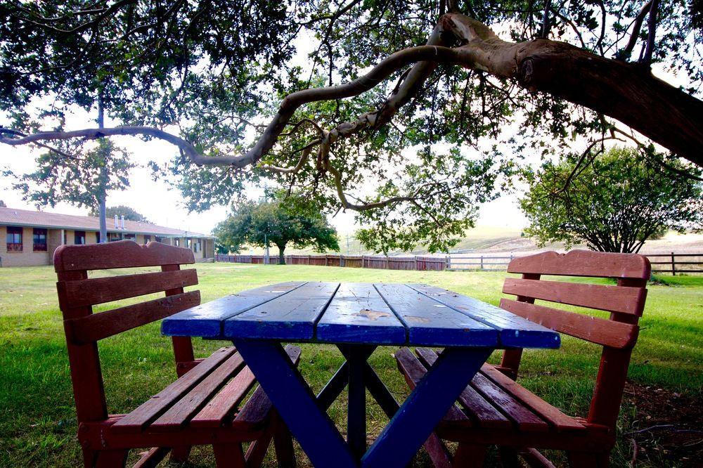 Snowy Mountains Resort And Function Centre Adaminaby Dış mekan fotoğraf