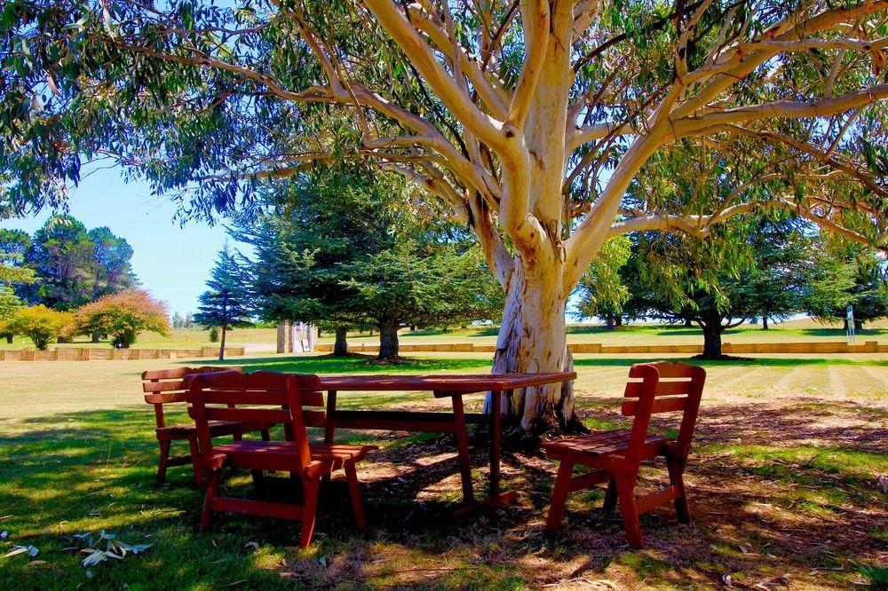 Snowy Mountains Resort And Function Centre Adaminaby Dış mekan fotoğraf